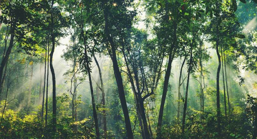 Rockline Releases Sustainability Report